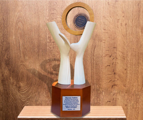 Escultura años de servicio - Imagen 4