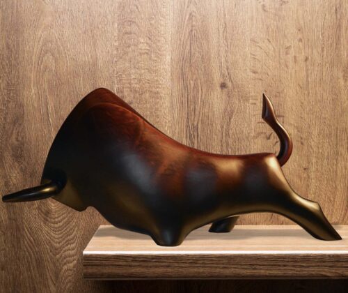 Toro Andes