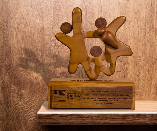 Escultura icono familia - Imagen 4