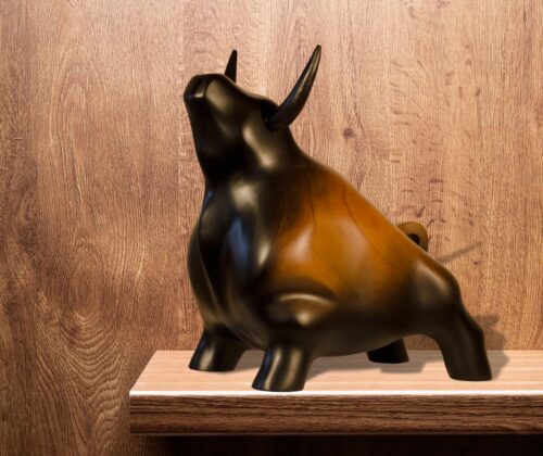 Toro Sally - Imagen 2