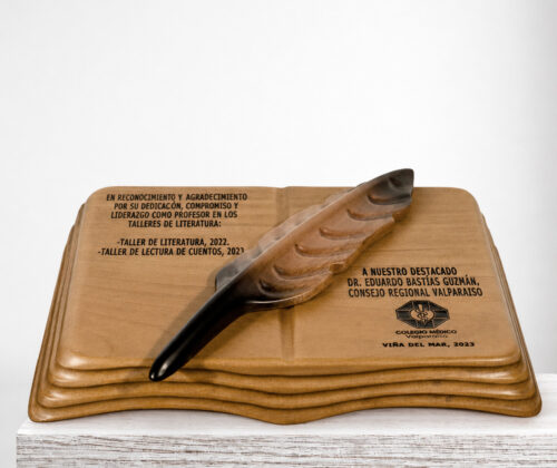 Esculturas libro y pluma