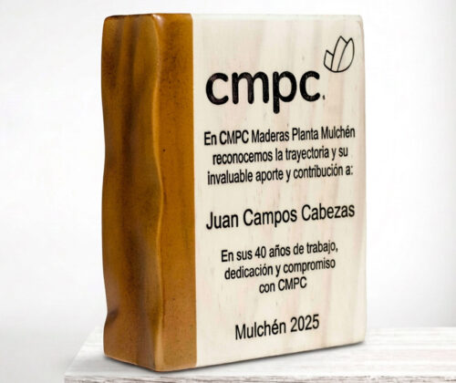 Escultura de madera galvano 11
