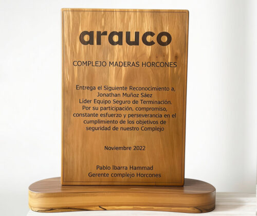 Escultura de madera galvano 8