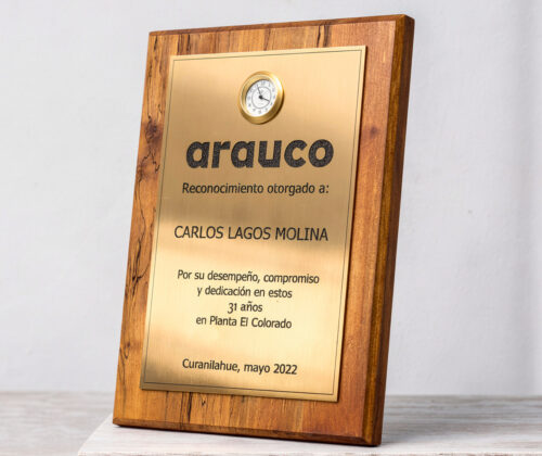 Escultura de madera galvano 12
