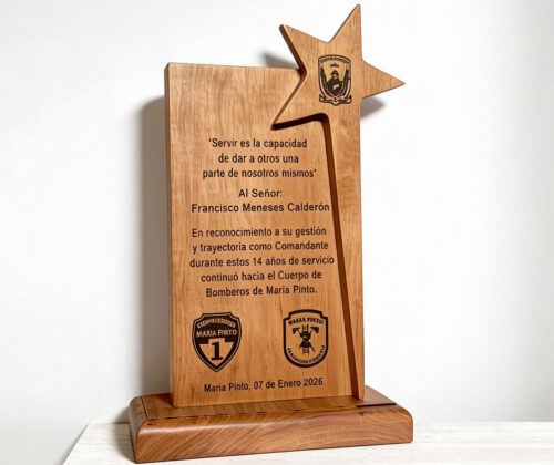 Escultura de madera galvano 2