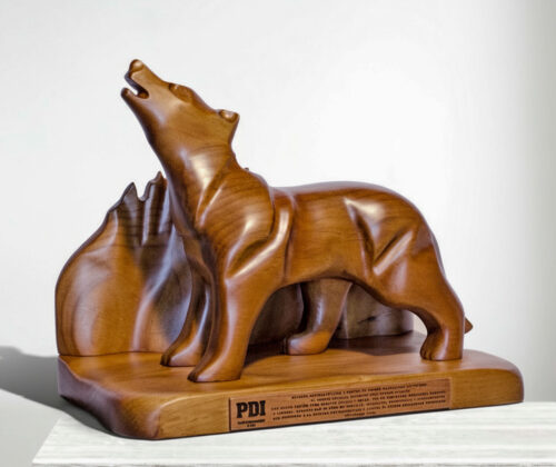 Esculturas lobo en cerro castillo PDI