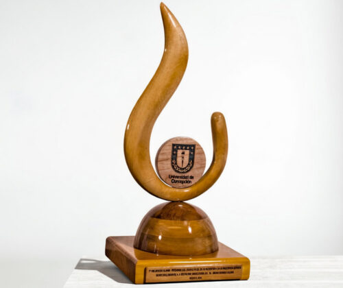 Escultura símbolo Universidad de Concepción