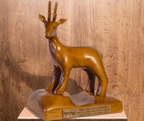 Escultura en madera  Federación nacional de turismo