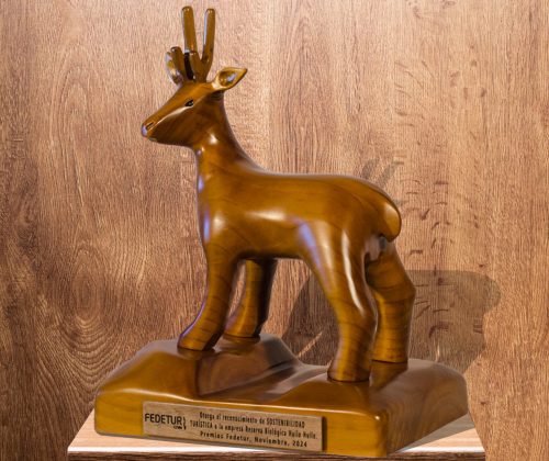 Escultura en madera  Federación nacional de turismo - Imagen 3
