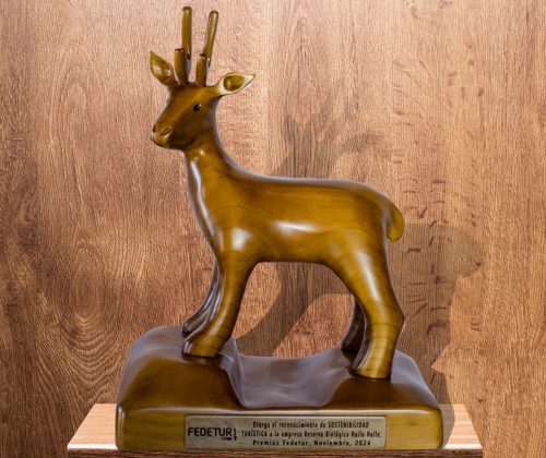 Escultura en madera  Federación nacional de turismo - Imagen 2