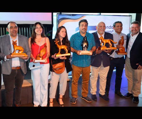 Escultura en madera  Federación nacional de turismo - Imagen 4