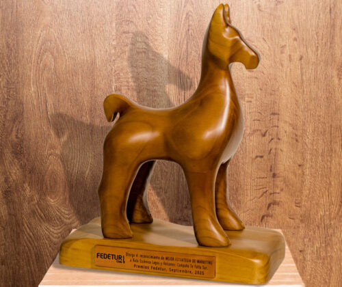 Esculturas en madera guanaco premio anual FEDETUR