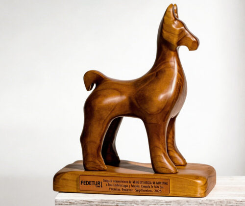 Esculturas en madera guanaco premio anual FEDETUR