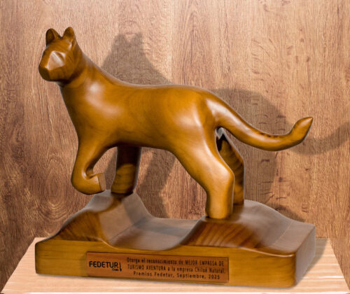 Esculturas en madera puma premio anual FEDETUR