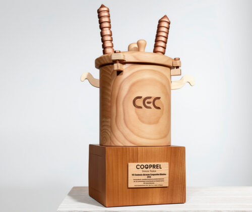 Esculturas en madera transformador Cooprel