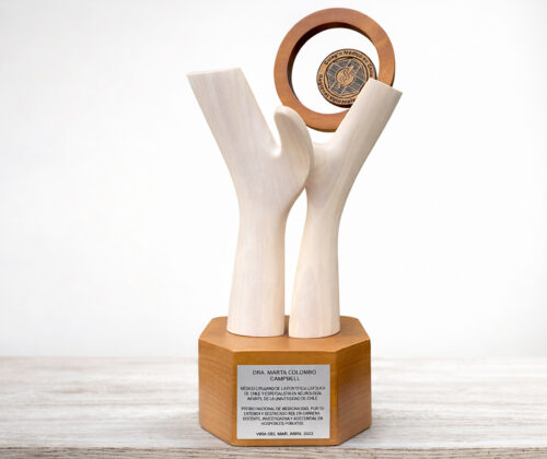 Escultura de madera años de servicio
